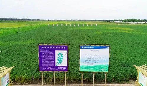 麻m豆m传m煤m国产入口